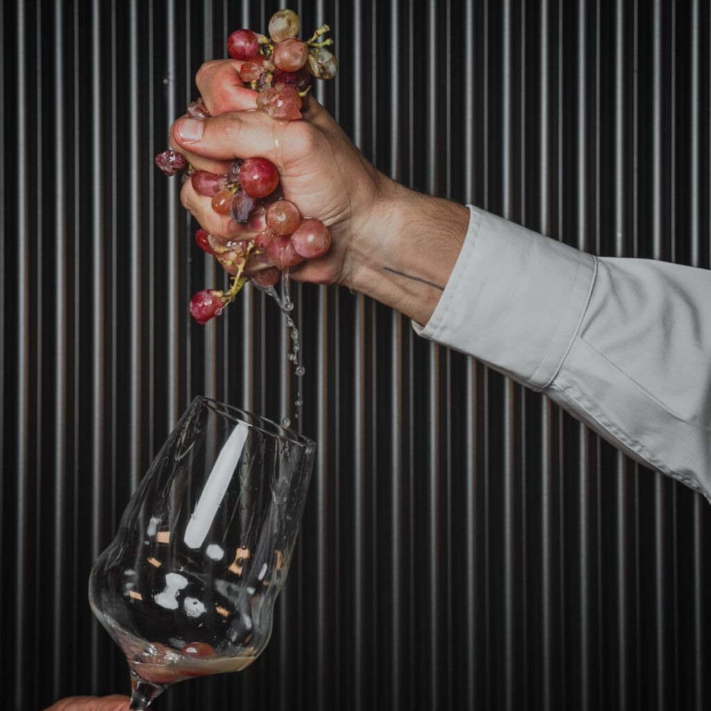 vinos denominación de origen para maridaje